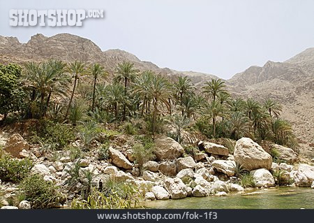 
                Wadi, Oman                   