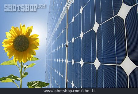 
                Sonnenblume, Klimaschutz, Sonnenenergie                   