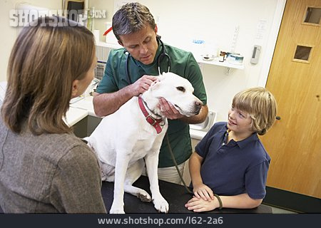 
                Tierarztbesuch, Tierarztpraxis, Tieruntersuchung                   