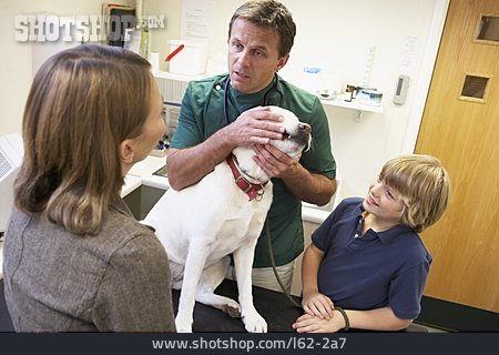 
                Tierarztbesuch, Tieruntersuchung                   