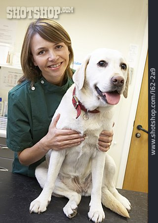 
                Labrador, Tierarztbesuch                   