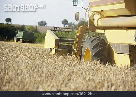 
                Landwirtschaft, Ernte, Mähdrescher, Getreideernte                   