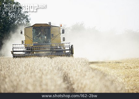 
                Landwirtschaft, Ernte, Mähdrescher, Weizenernte                   