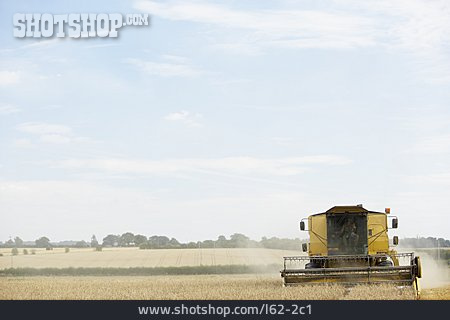 
                Landwirtschaft, Ernte, Mähdrescher, Weizenernte                   