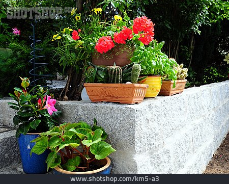 
                Blumentopf, Gartenmauer                   
