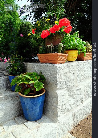 
                Blumentopf, Vorgarten, Gartenmauer                   