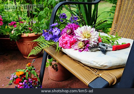
                Blume, Gartenarbeit, Terrasse                   
