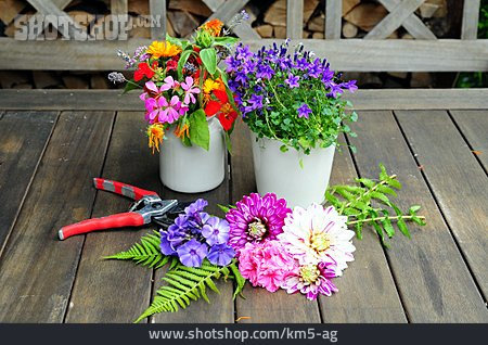 
                Blühen, Gartenarbeit, Blumentopf, Terrasse                   