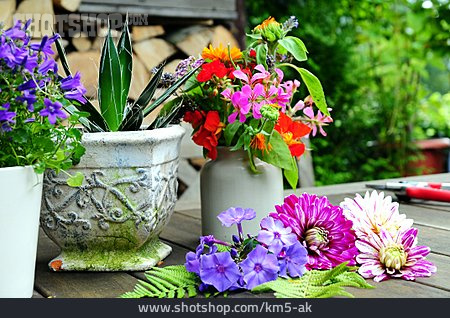 
                Blühen, Gartenarbeit, Blumentopf, Terrasse                   