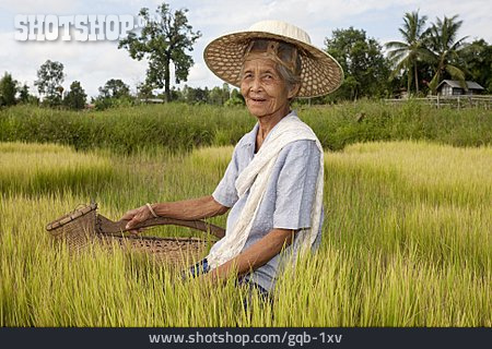 
                Seniorin, Reisbäuerin                   