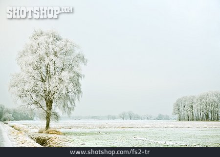 
                Winterlandschaft, Frost                   