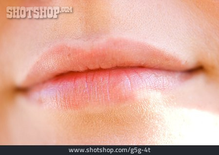 
                Human Lips, Mouth                   