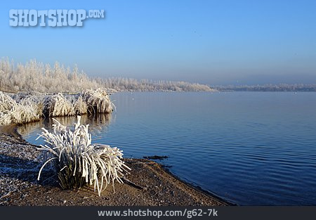 
                Lake, Winter, Frost                   