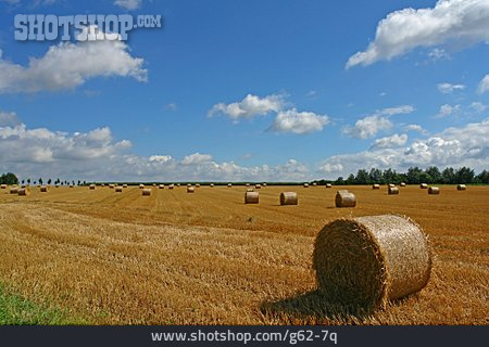
                Landwirtschaft, Strohballen, Stoppelfeld                   