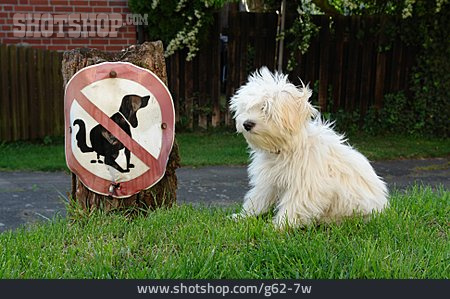 
                Hund, Verbotsschild, Humor & Skurril                   