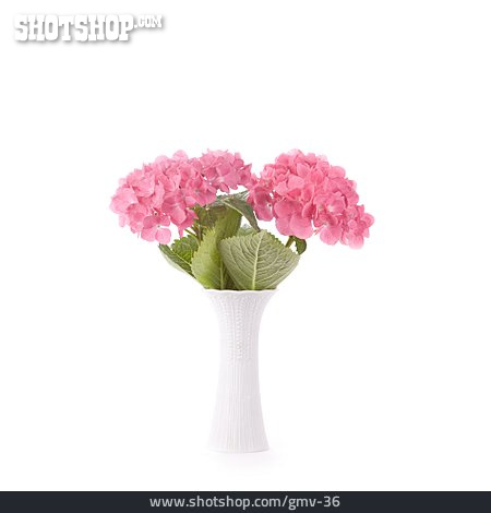 
                Blumenstrauß, Blumenvase, Hortensie                   