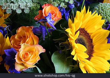 
                Rose, Sonnenblume, Blumenstrauß                   