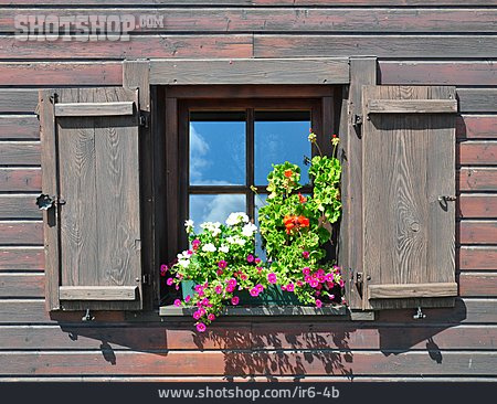 
                Fenster, Ländlich, Blumenkasten, Blumenfenster                   