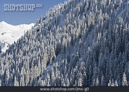 
                Berg, Wald, Winterlandschaft, Verschneit                   