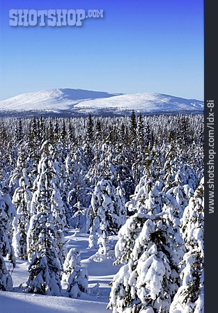 
                Winterlandschaft, Finnland                   