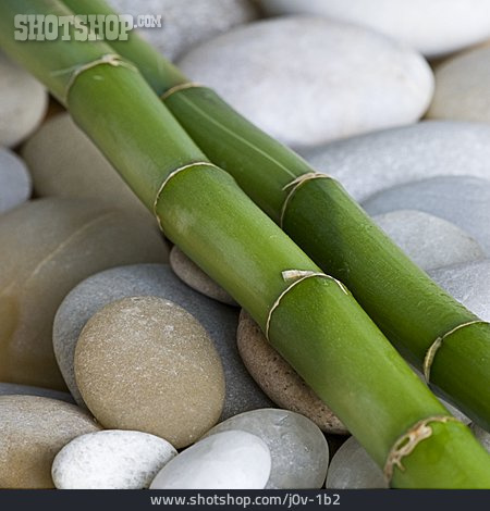 
                Stein, Bambus, Bambusrohr                   