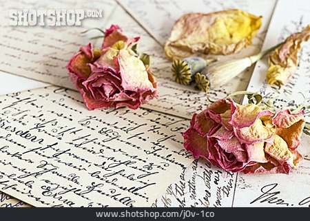 
                Romantik, Rosenblüte, Liebesbrief                   