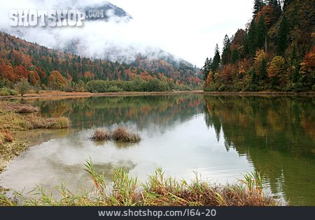 
                Landschaft, See, Herbstlich                   