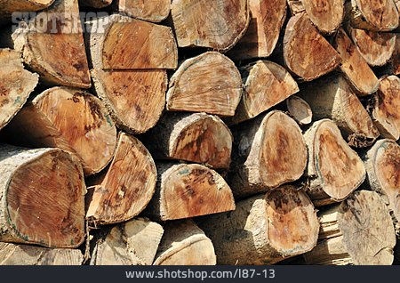
                Brennholz                   