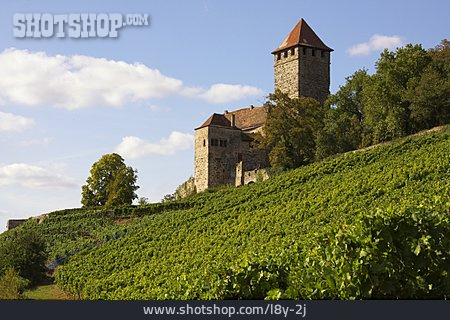 
                Burg Lichtenberg                   