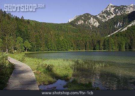 
                See, Frillensee                   