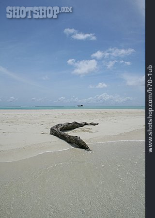 
                Meer, Treibholz, Sandstrand, Malediven                   