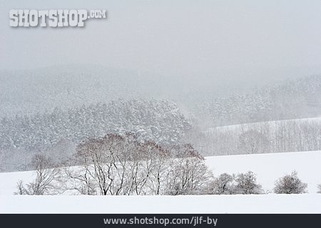 
                Winterlandschaft, Thüringen, Schneefall                   