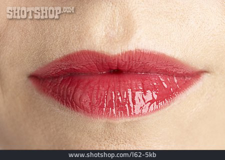 
                Lippen                   