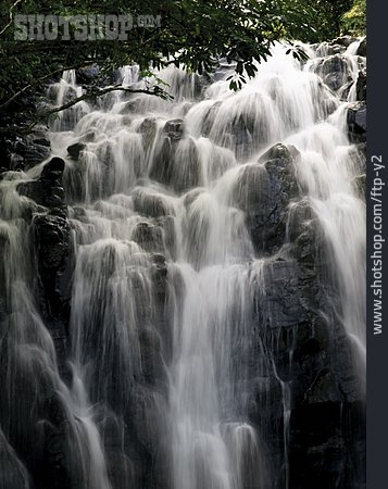 
                Wasserfall, Atherton Tablelands, Millaa Millaa Falls                   