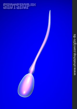 
                Spermium, Keimzelle, Einzeller                   
