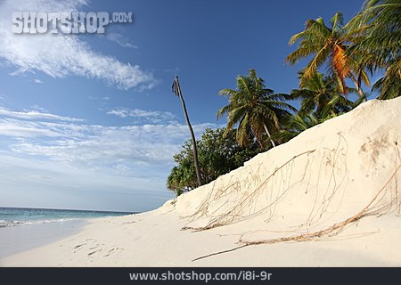 
                Sandstrand, Malediven, Ari-atoll                   