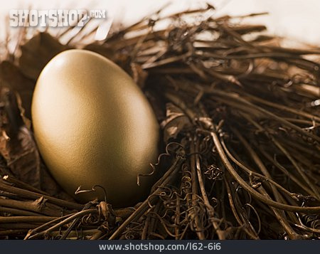 
                Golden Egg                   