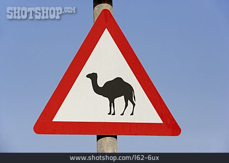 
                Verkehrsschild, Piktogramm, Kamel                   