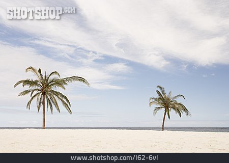 
                Palme, Sandstrand                   