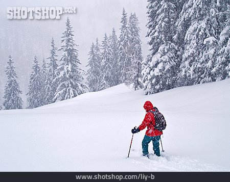 
                Winterlandschaft, Skiwandern, Schneespaziergang                   