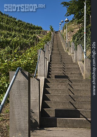 
                Treppe, Weinberg, Radebeul                   