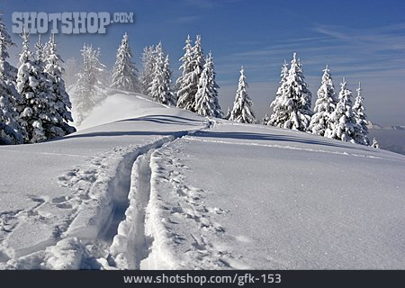 
                Winterlandschaft, Schneespur                   
