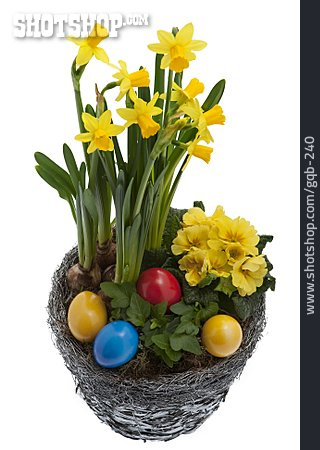 
                Easter, Daffodil, Easter Decoration                   