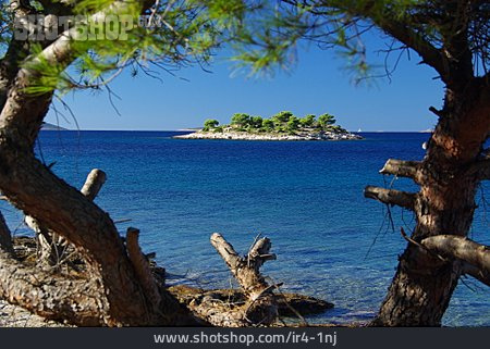 
                Insel, Mittelmeer, Kroatien, Murter                   
