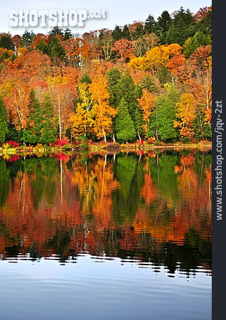 
                Herbstwald, Wasserspiegelung, Herbstlandschaft                   