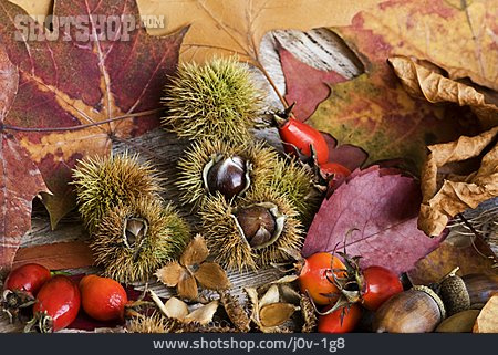 
                Herbst, Herbstlich, Naturmaterialien, Herbstdekoration                   