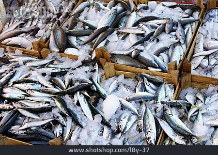 
                Fischmarkt, Speisefisch                   