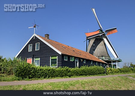 
                Windmühle, Zaanstad, Het Pink                   