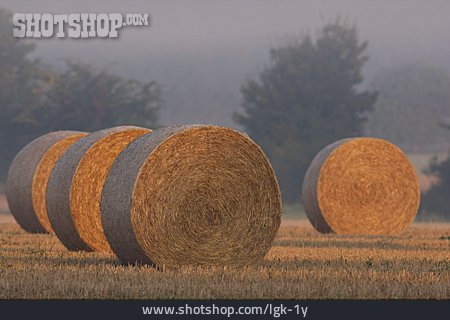 
                Strohballen, Stoppelfeld                   