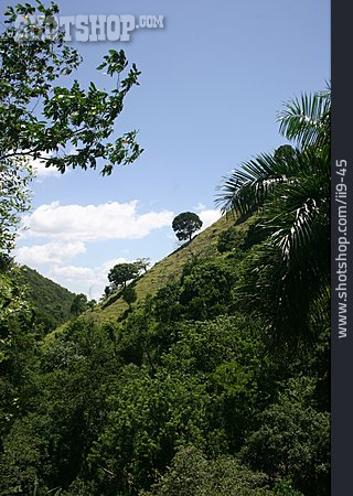 
                Berglandschaft, Abhang, Dominikanische Republik                   